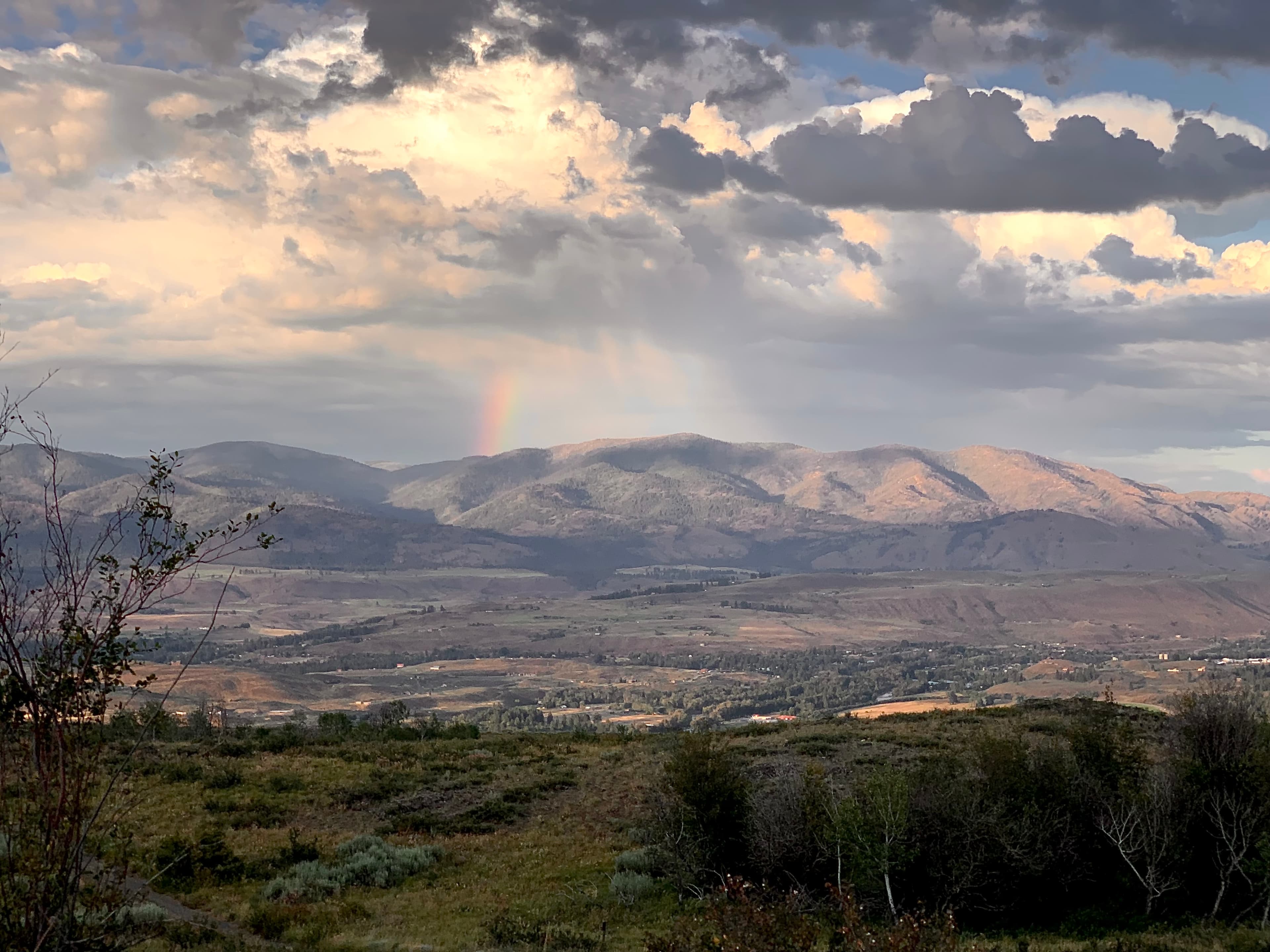 A white horse near Winthrop, WA